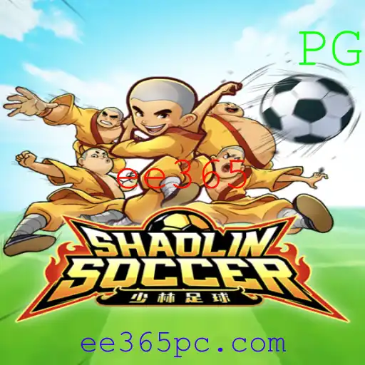 Descubra ShaolinSoccer: O Jogo que Une Artes Marciais e Futebol